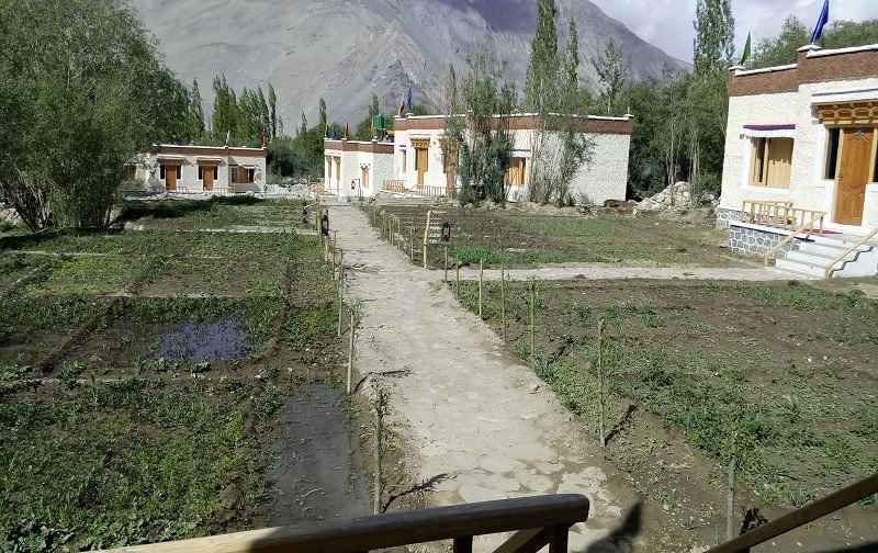 Traveltoexplore NubraValley Hotel